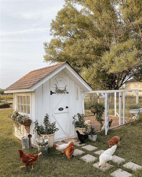 Cute Chicken Coop Designs at Cecil Messer blog