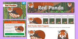 Red Panda Colouring Book Cover (teacher made) - Twinkl