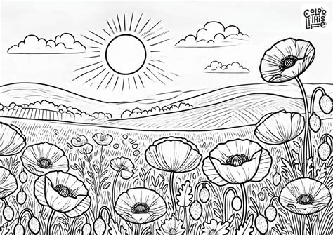 Free Printable Poppy Coloring Pages - Color This Life