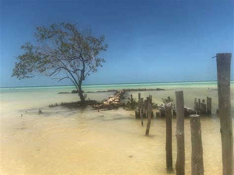 CASA IGUANA HOLBOX (Holbox Island) - Inn Reviews, Photos, Rate ...