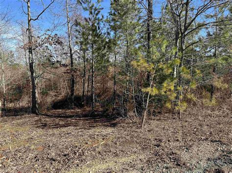 1 Acre of Residential Land for Sale in Beech Bluff, Tennessee - LandSearch