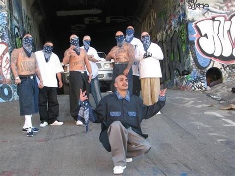 SureñOs - CariDotMy