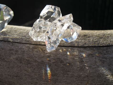 Primitive Nature 的图像结果