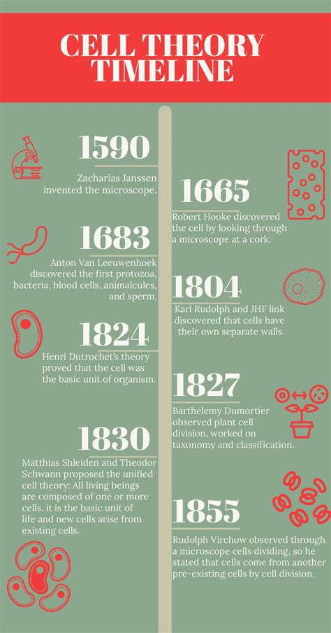 Cell Theory Timeline Powerpoint