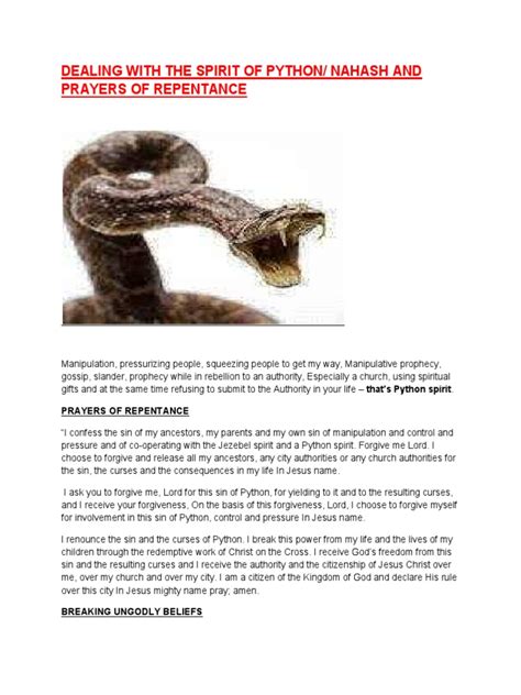 Spirit of Python Prayer 的图像结果