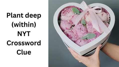 Plant deep (within) NYT Crossword Clue - September 20 2024