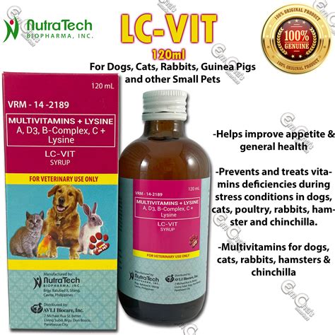 Best Vitamin For Dog Hips at Debra Schaper blog