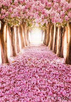 Backdrop For Photos by Magic Box Photography Backdrop Photo Background 5x7ft Backdrop For Photos
