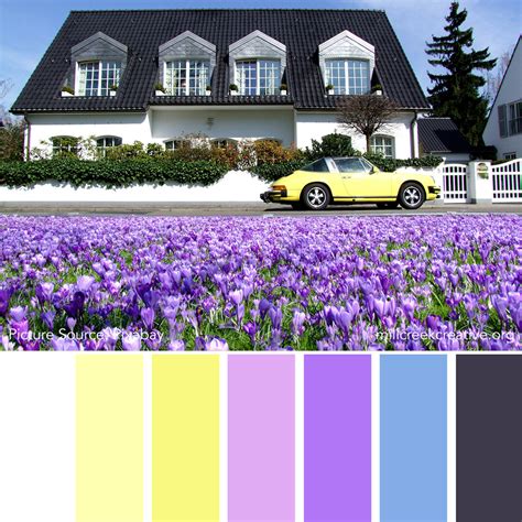 Spring Colour Pattern 的图像结果