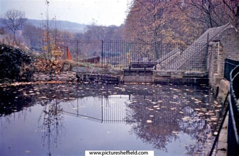 Searching Picture Sheffield