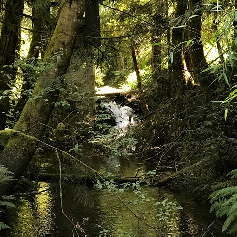 Belknap Hot Springs Lodge and Gardens Camping | The Dyrt