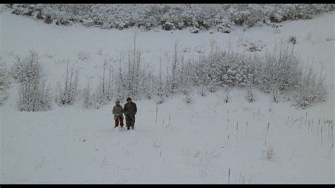 Chilly Scenes of Winter Review :: Criterion Forum