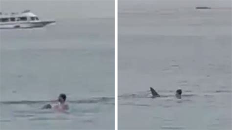 Horrifying Video Shows Man Killed in Shark Attack Off Coast of Egypt’s Red Sea