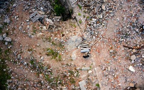 Integrated approach to time-dependent earthquake risk assessment - WTW