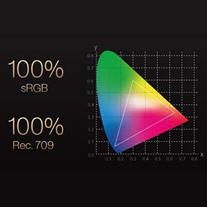 ASUS ProArt Display PA247CV 23.8” (60.45cm) Monitor, 1080P Full HD, 100 ...