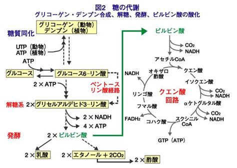 Image result for Multimolality Learning Alignment