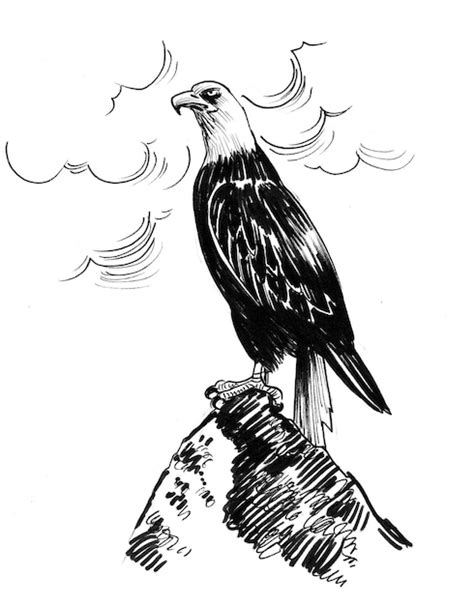 Ptak Orzeł Na Szczycie Góry. Czarno-biały Rysunek Tuszem | Zdjęcie Premium