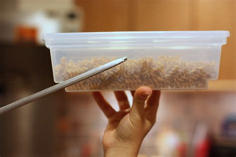 Fasta Pasta Timing Guide 的图像结果