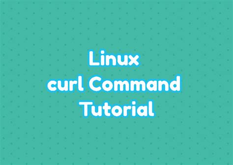 Image result for Curl Command Tutorial