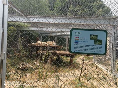 合肥野生动物园 - 中国旅游资讯网365135.COM