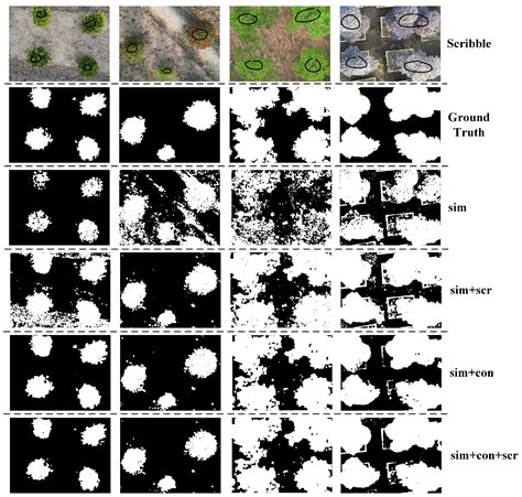 A Novel Unsupervised Segmentation Method of Canopy Images from UAV ...