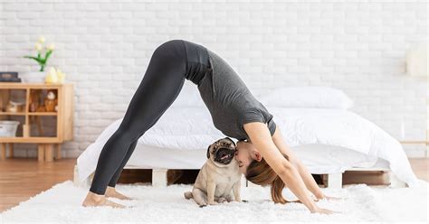 Experience Doga: How to Yoga Bond with Your Dog