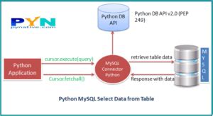 Select From SQL Python 的图像结果
