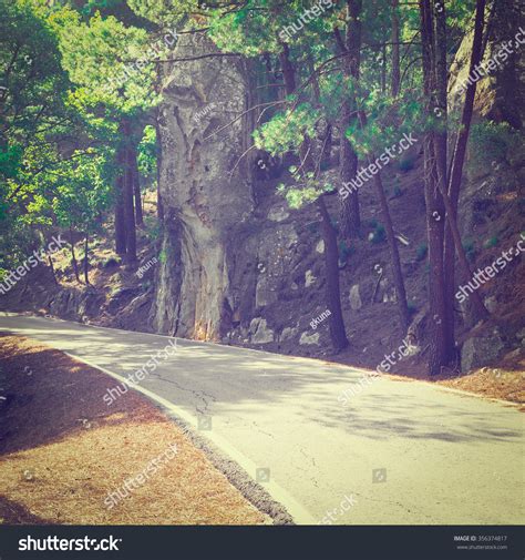 Winding Asphalt Road Spanish Forest Instagram Stock Photo 356374817 ...