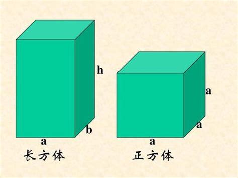长方体正方体的所有公式_百度知道