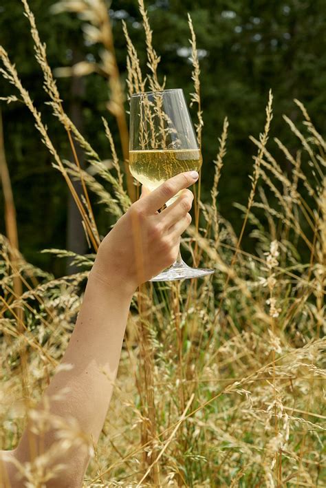 wine — orcas island winery