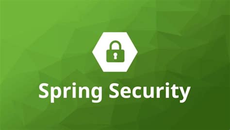 Image result for Spring Security Logo