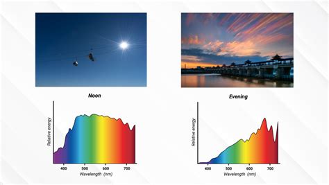 Blue Light Explained 的图像结果