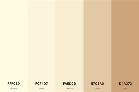 25+ Best Beige Color Palettes with Names and Hex Codes – CreativeBooster