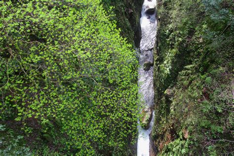 宮津エコツアー · 龍渓で目を回したカメラ！