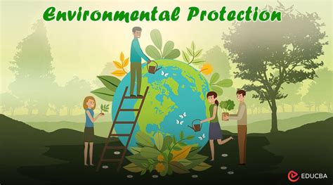 Environmental Protection 的图像结果