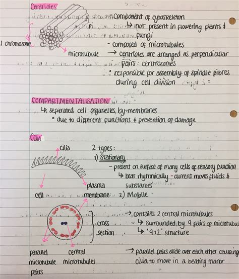 Ati Teas Practice Test Printable