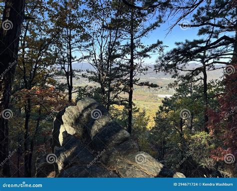 Read Mountain Preserve, Virginia Stock Photo - Image of flower, county ...