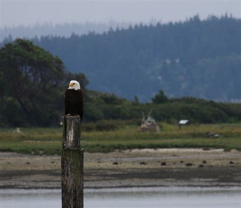 Oak Harbor Waterfront Trail — Washington Trails Association