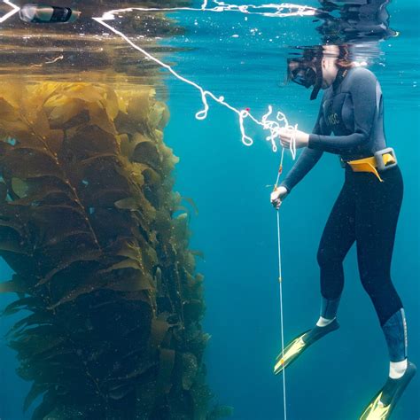 Maymester - Wrigley Institute for Environment and Sustainability