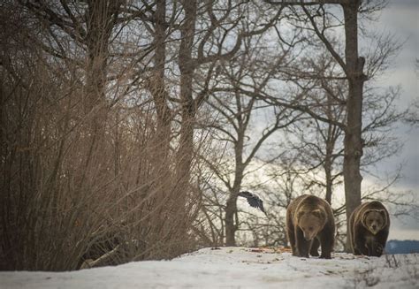 Highlights you helped make possible in 2017