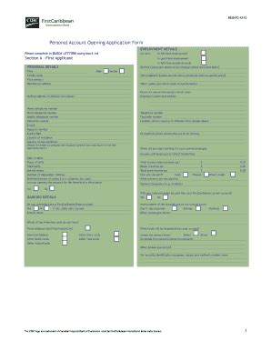 Personal Account Opening Application Form - Blank Fillable Template ...