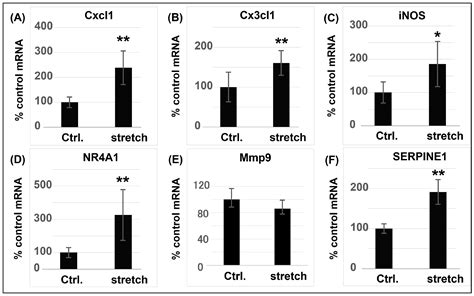 A Comprehensive Retrospective Study on the Mechanisms of Cyclic ...