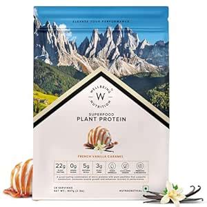 Wellbeing Nutrition Organic Vegan Plant Protein Isolate| 22g Protein ...