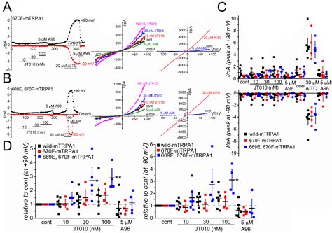 Potent Activation of Human but Not Mouse TRPA1 by JT010