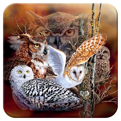 3D LiveLife Cork Coaster - Owl Woods from Deluxebase. Lenticular 3D Owl ...