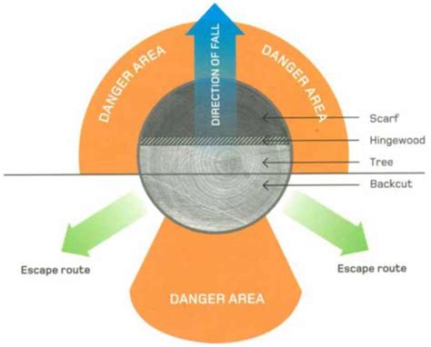 Image result for Tree Felling Escape Route