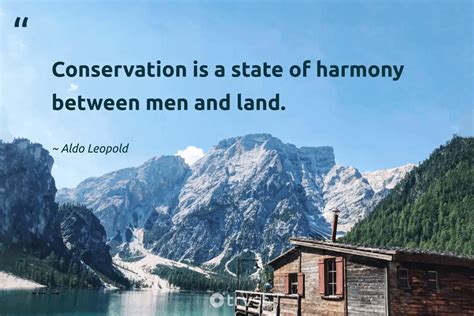 Quotes About Environment 的图像结果