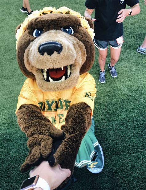 Baylor University Mascot | Baylor university, Baylor football, Baylor bear