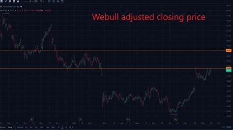 Image result for Webull Volume Ladder Explained