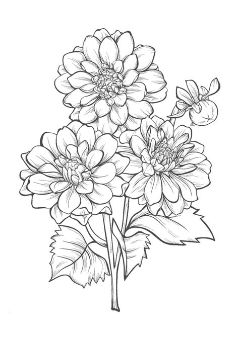 Image result for Alien Flower Flora